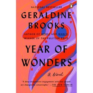 Year of Wonders -- Geraldine Brooks